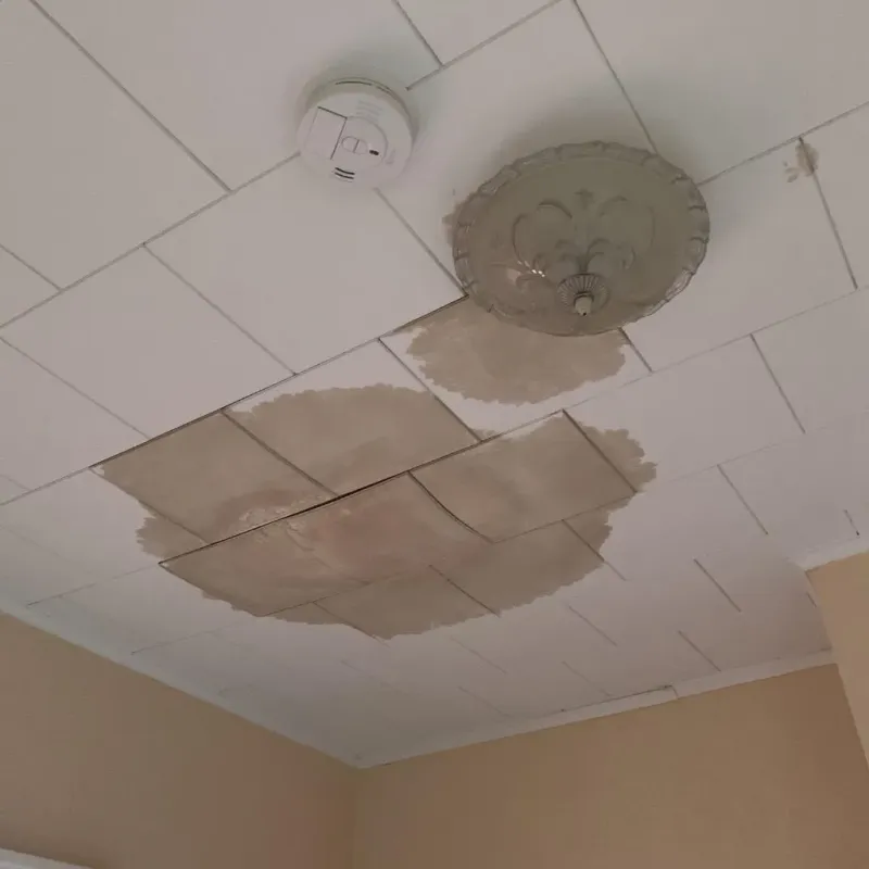 Ceiling Water Damage Repair in Eufaula, AL