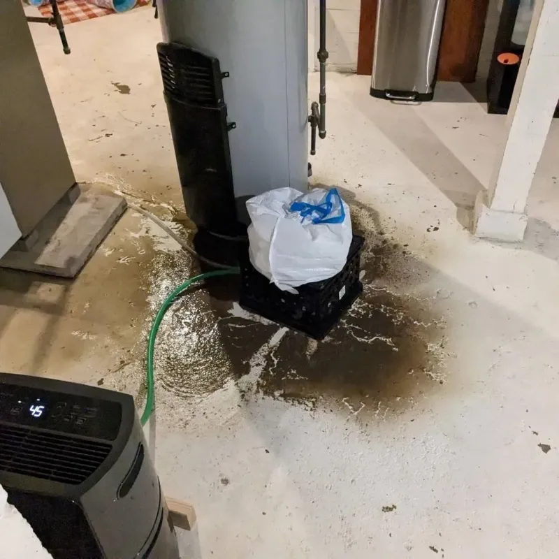 Sewage Backup Cleanup Service in Eufaula, AL